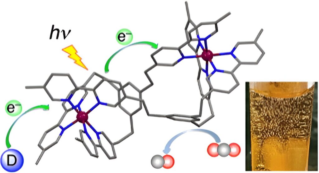 Dinuclear Ruthenium Complex As A Photocatalyst That Selectively Reduces Co2