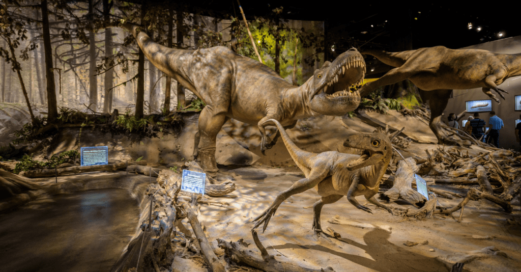 Royal Tyrrell Museum Has An Impressive Prehistoric Collection