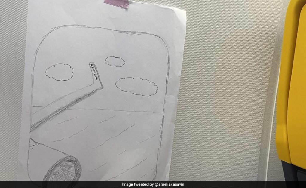 Passenger Tried To Troll Ryanair With Artwork, But Airline Responded
