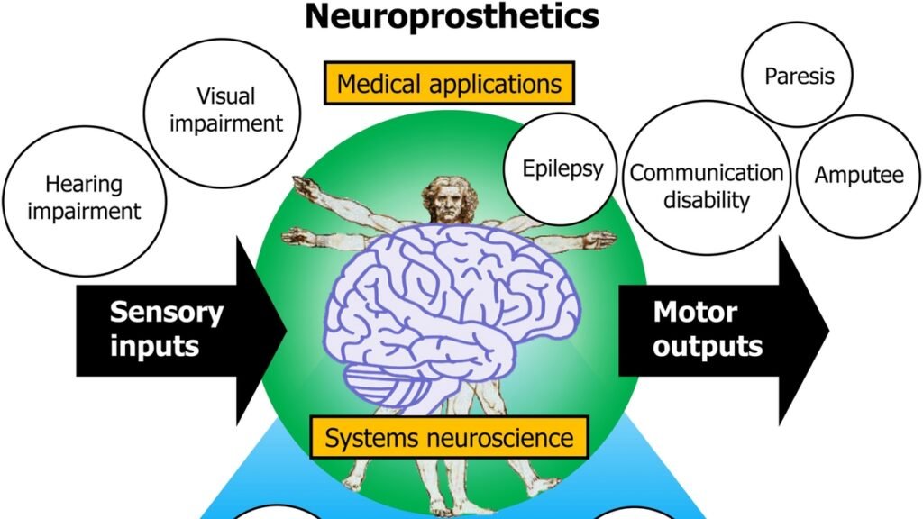 Cracking The Brain's Code: New Research Promises To Revolutionize Neuroprosthetics