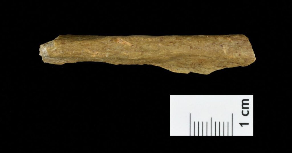 Bones And Tools Found In German Cave Could Rewrite History