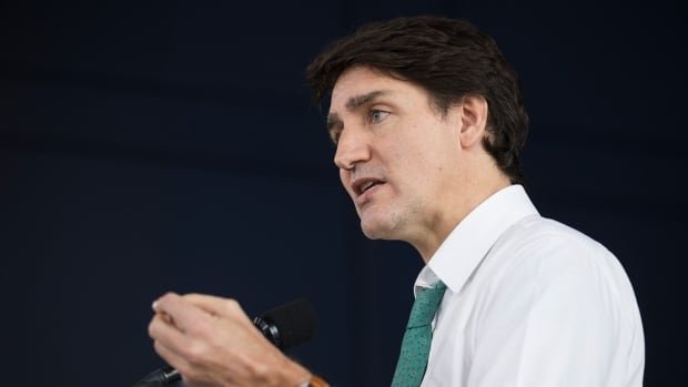 Prime Minister Says Canadians 'will Not Be Fooled' By Putin's