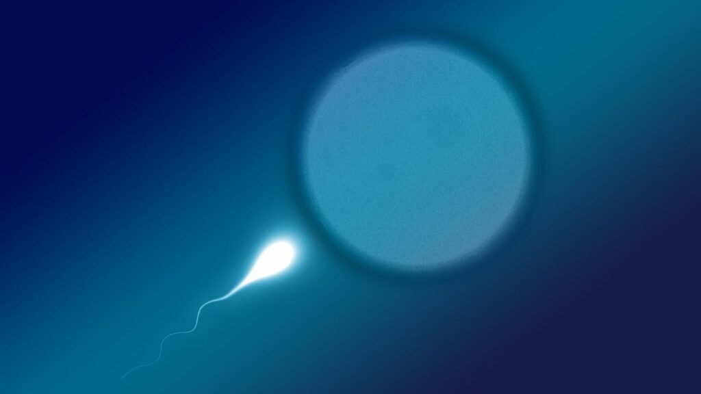 Scientists Discover New Way To Move Sperm Up To Twice