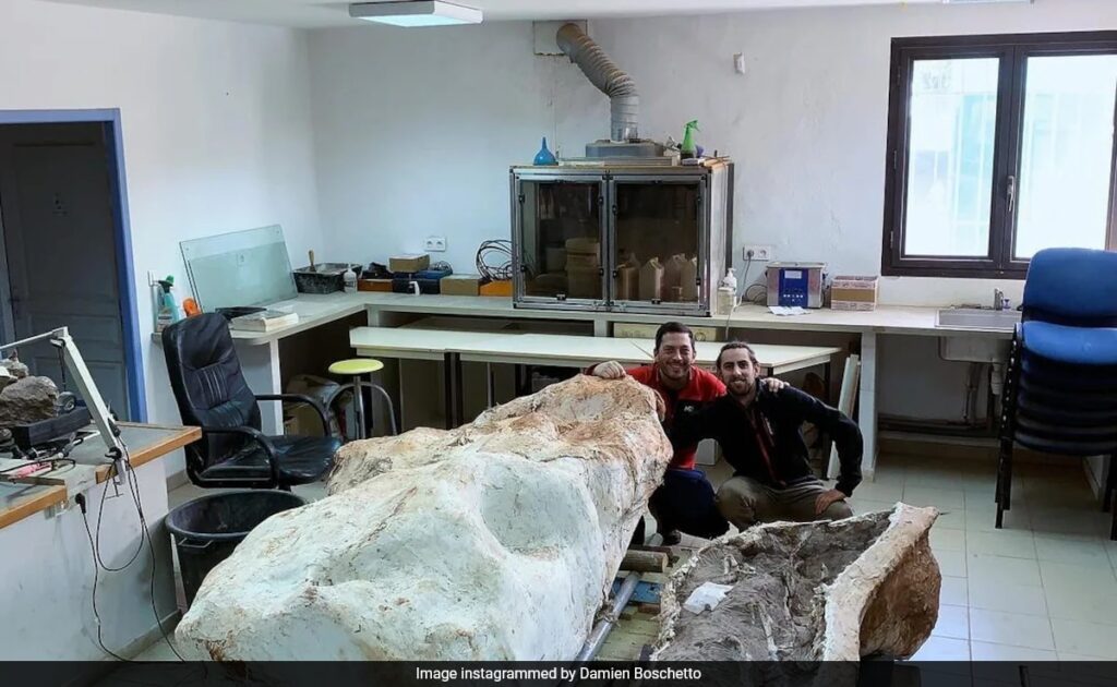 Dog Walker Unearths 70 Million Year Old Dinosaur In France: Report