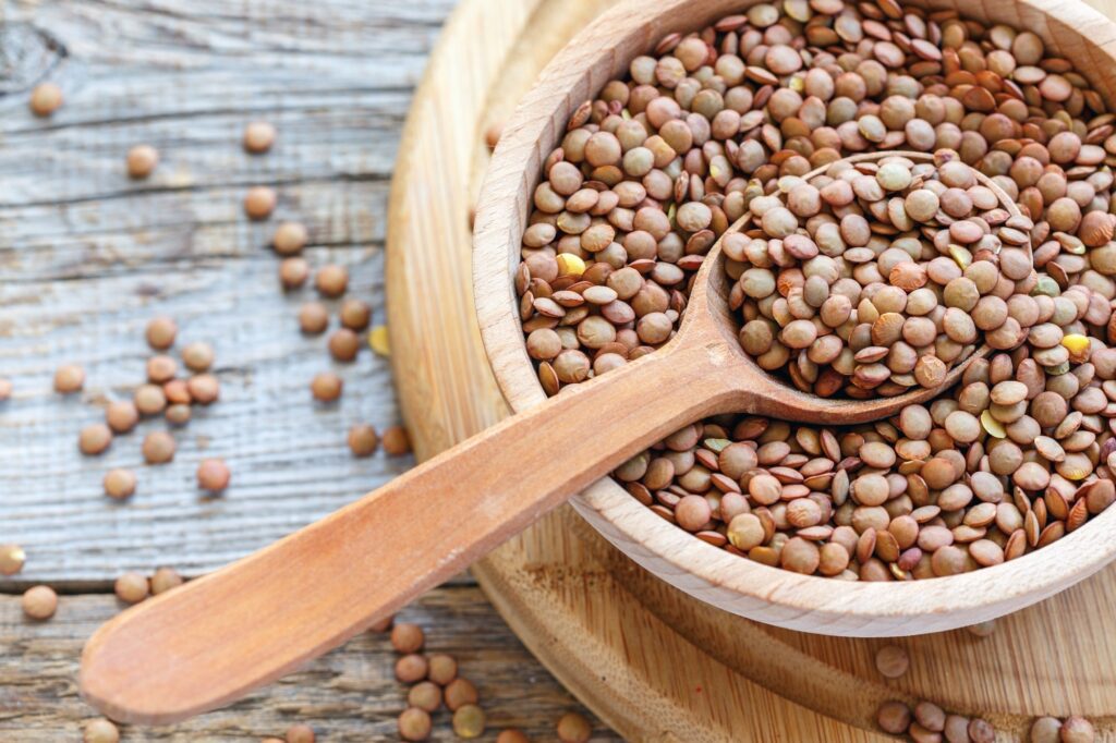 Effects Of Consuming Iron Fortified Lentils