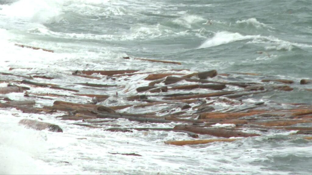 Six Bc Ferries Routes Canceled Due To Strong Winds