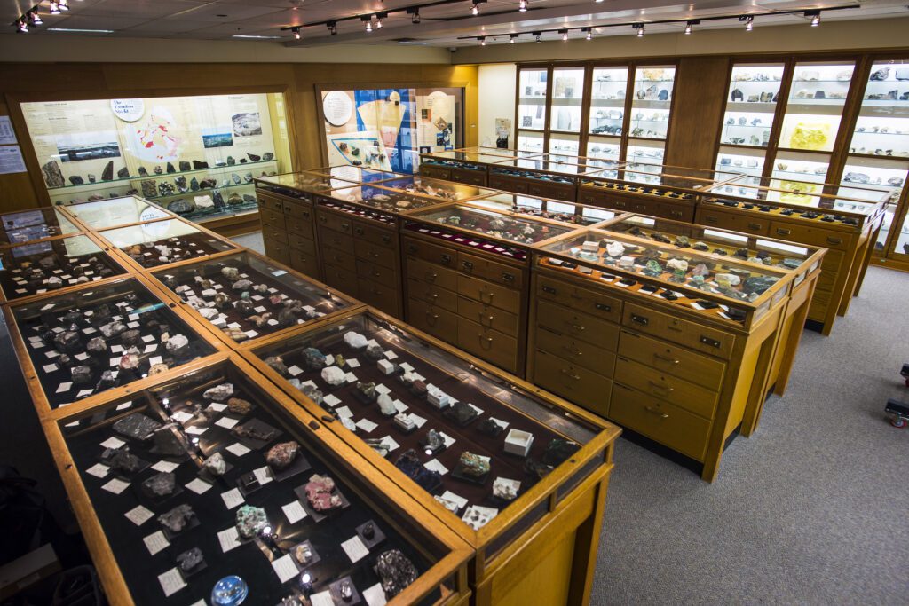 Visit To Mineralogy And Petrology Collections