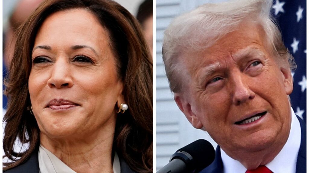 Cnbc Fed Poll Finds Harris Most Likely To Beat Trump